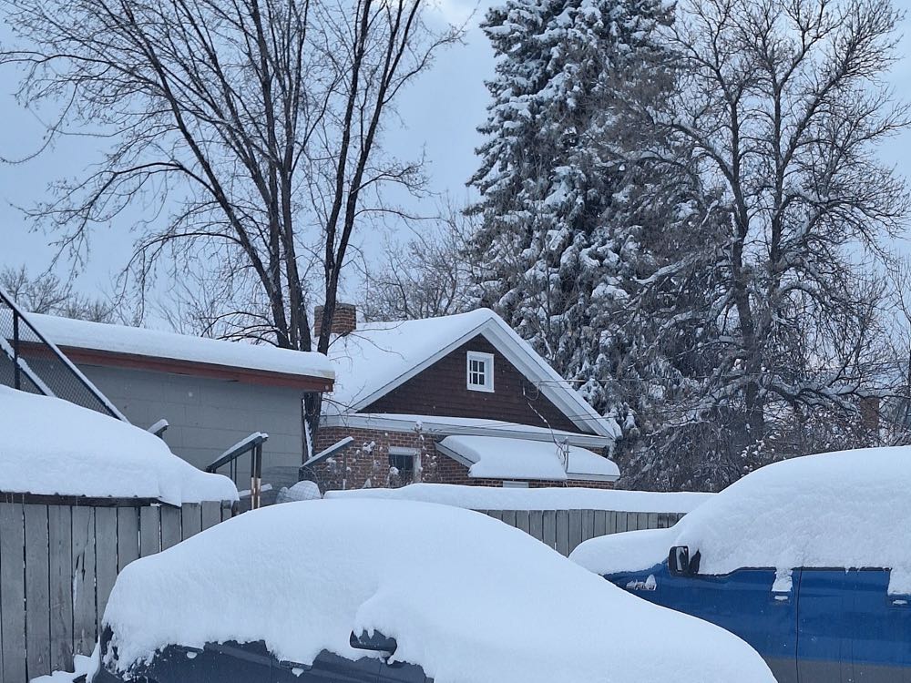 El auto bajo la nieve